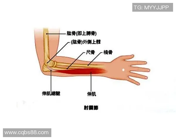 上海网球队阵地战体系解析与网球战术的深度融合探讨